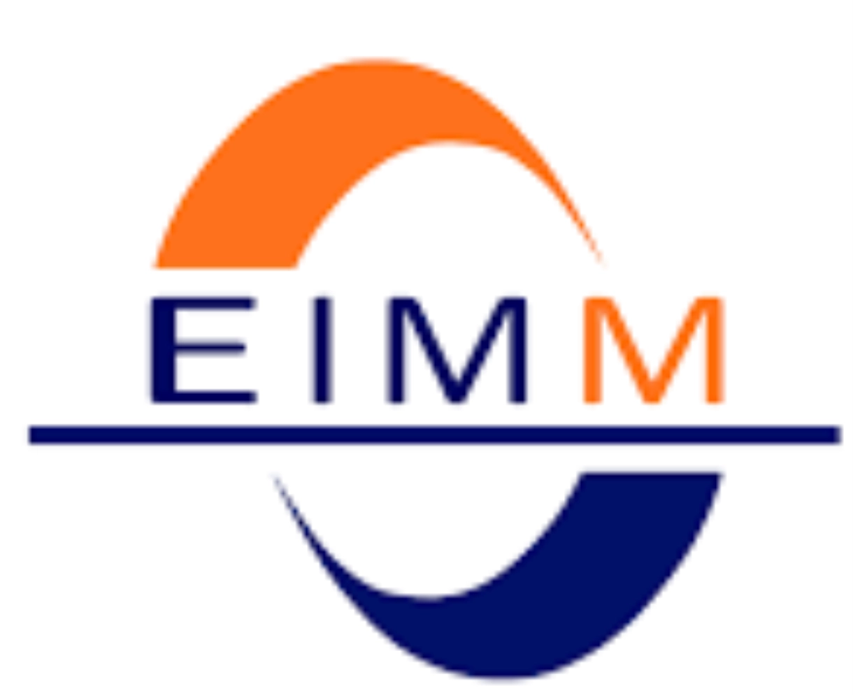 Logo of the European Institute of Molecular Magnetism, in the form of the inscription EIMM placed between a navy blue and orange curve